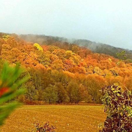 Somhegyi Oereg Harsfak Major Vendeghaz Bed & Breakfast Bakonybél Dış mekan fotoğraf