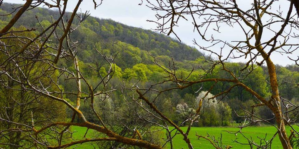 Somhegyi Oereg Harsfak Major Vendeghaz Bed & Breakfast Bakonybél Dış mekan fotoğraf